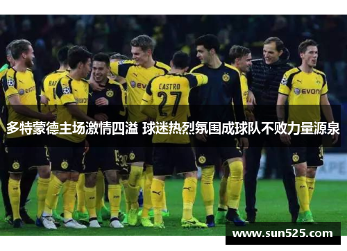 多特蒙德主场激情四溢 球迷热烈氛围成球队不败力量源泉