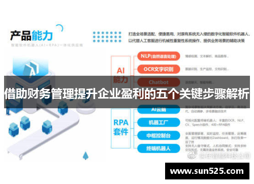 借助财务管理提升企业盈利的五个关键步骤解析