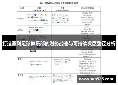 打造盈利足球俱乐部的财务战略与可持续发展路径分析