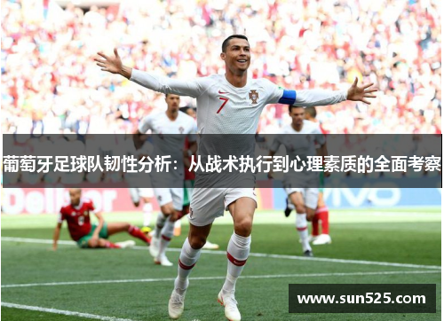 葡萄牙足球队韧性分析：从战术执行到心理素质的全面考察