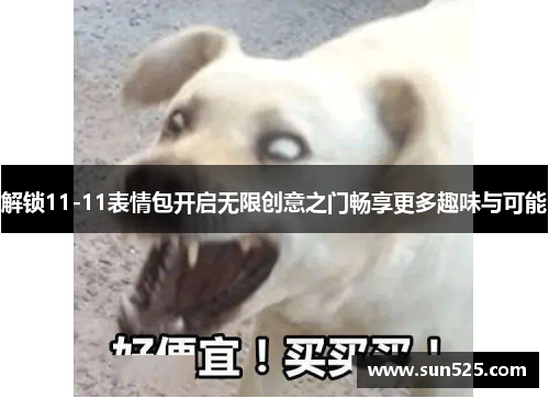 解锁11-11表情包开启无限创意之门畅享更多趣味与可能